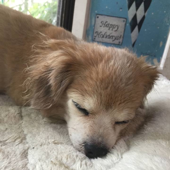 4b6f9286 e84b 47e3 ac62 34c50198b8b2