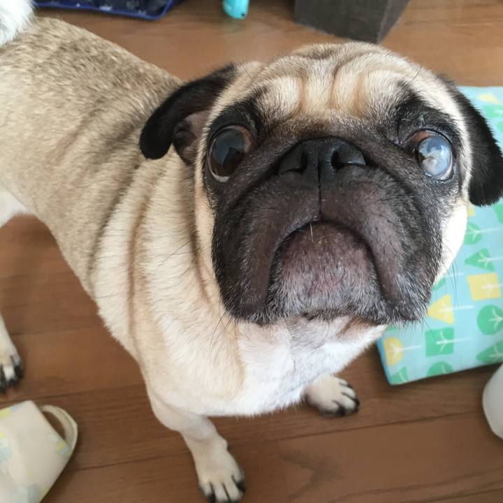 4b70549f 8044 4b99 bba1 21857f1daed6