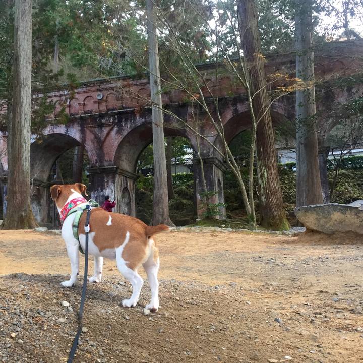 4b7066c1 7d6b 4e21 8d5f 66970e547a86