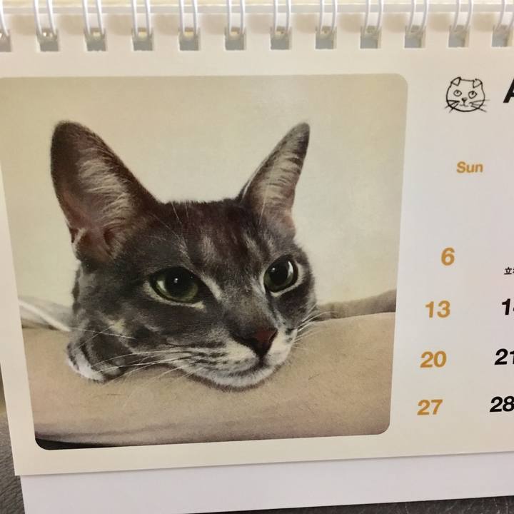 4b706ed9 e62a 42ef b60b 253162e5a6fe