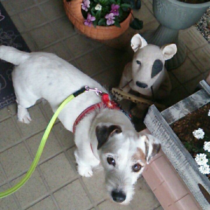 4b70d5b7 ad82 42d2 a09d f0ba4c17a086