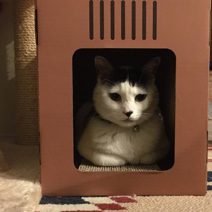 4b71471d 6cf9 44a1 bf12 e71b35b49bdd