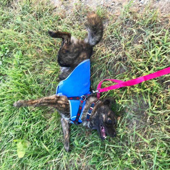 4b71c541 33b1 4fd5 af30 d88db99344d8