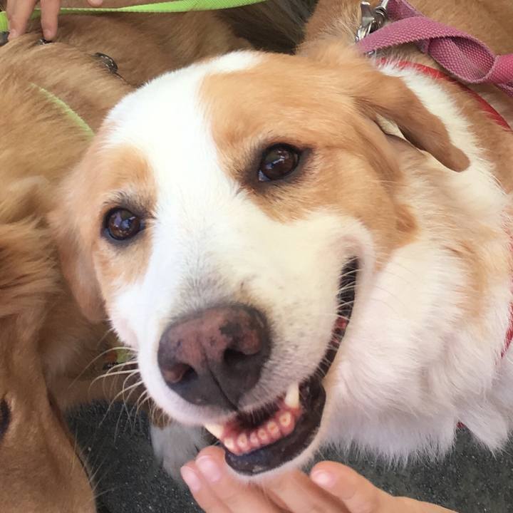 4b71fa15 2812 49cb afa5 a8eb05d18a15