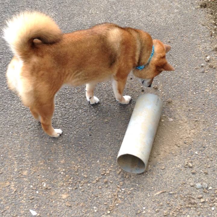 4b726d76 2654 4893 8701 07dbf0ffc36e