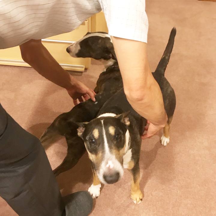 4b736a86 93ab 4604 a96a 919573afbaf8