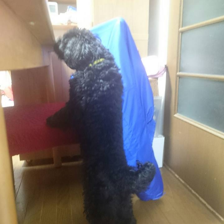 4b74df10 5c41 431c a246 e933143ba8ec