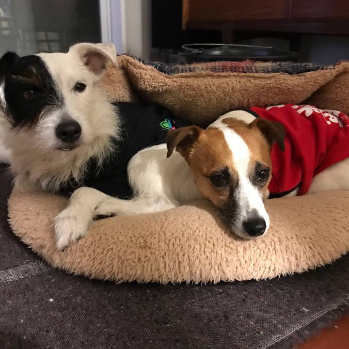 4b74e228 4964 4bfb 8b2e 0b17c52f6fd6