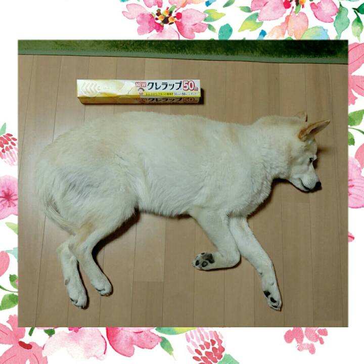 4b75d597 d9f5 4095 ba61 f12cb202d33c