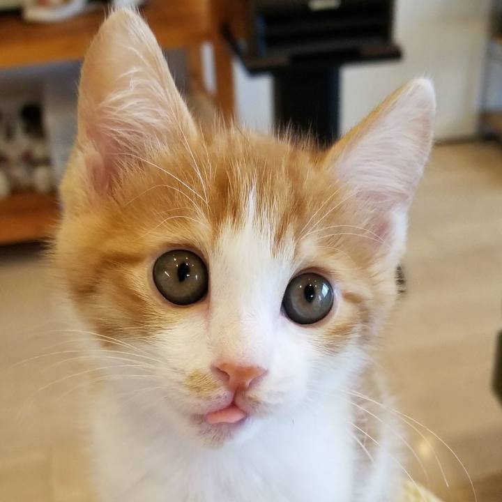 4b75febc 1b3c 4ebb b721 a37bea9ac87e