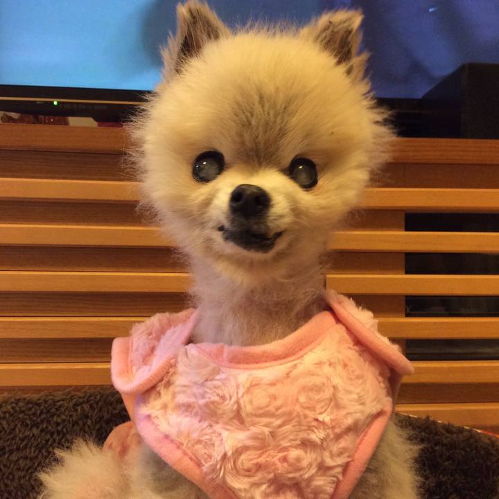 4b763bf8 e2c1 48e4 a9a5 c4b609f38e0b