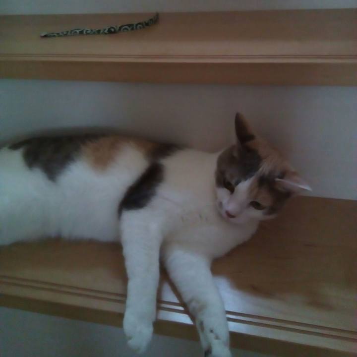 4b76d5b6 2fef 42e3 a83d 476e120d4dbb