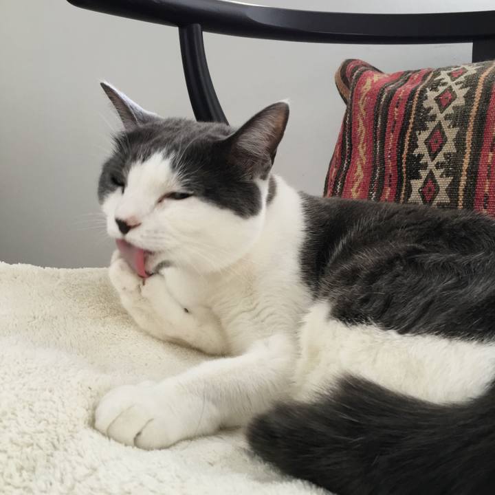 4b76f231 55ec 414d bdf0 06b4bdf53101