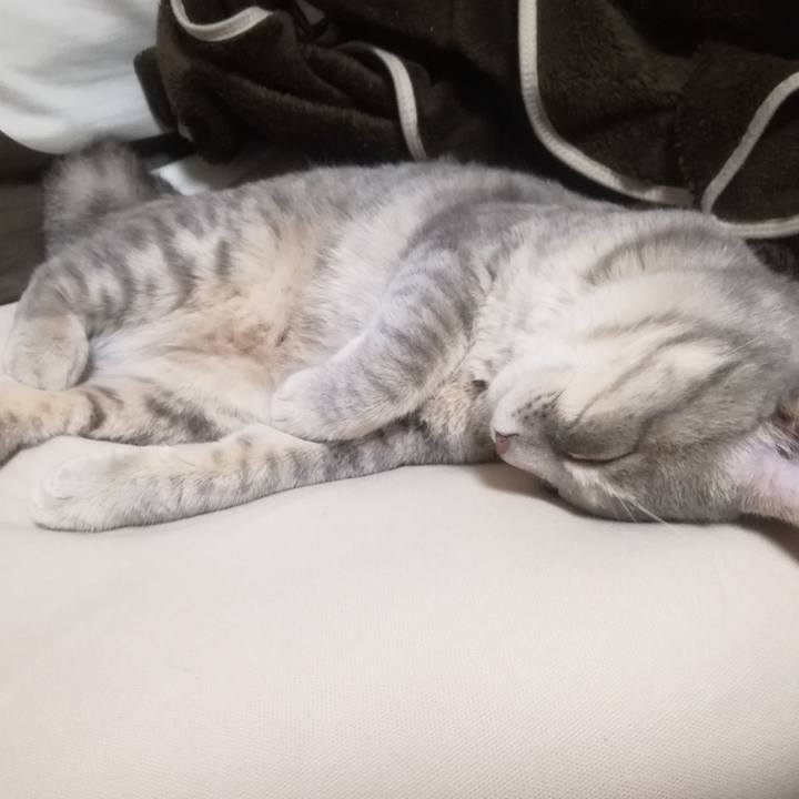 4b77229a 5401 4a5e 8b1c b3db1089c57b