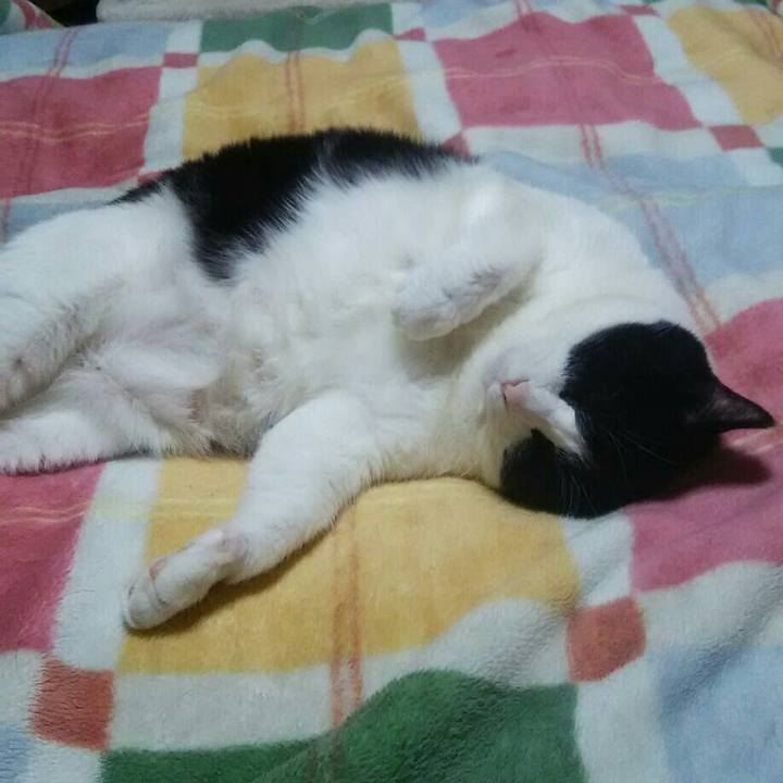 4b778ecd 1b37 4565 b755 640fe759cbe1