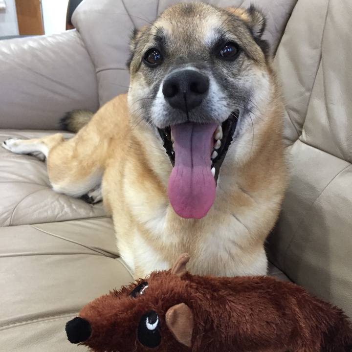 4b77c391 8fee 4bfc 85ca cb4ca3bfdff3