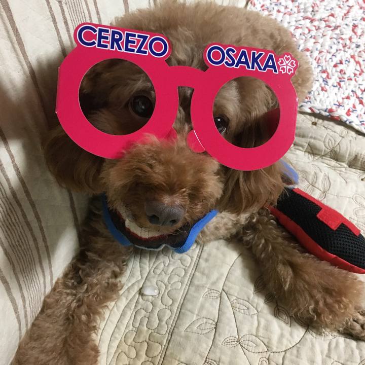 4b77ded8 5855 4e2d 9ecc 4225af31a6e8