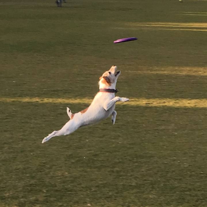 4b788b23 69fd 4472 8da2 d0eb99eaed2d