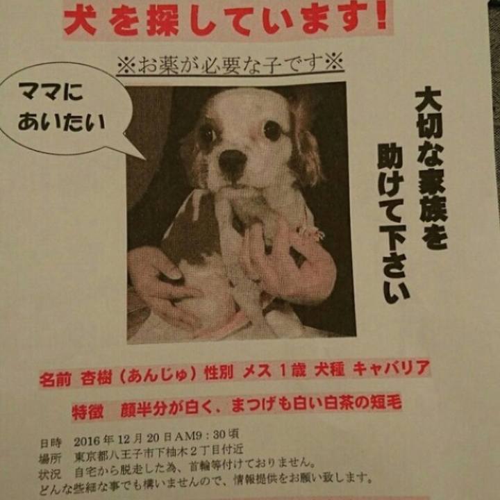 4b791a6f 25fa 4fd4 a6db db208f3e2ee3