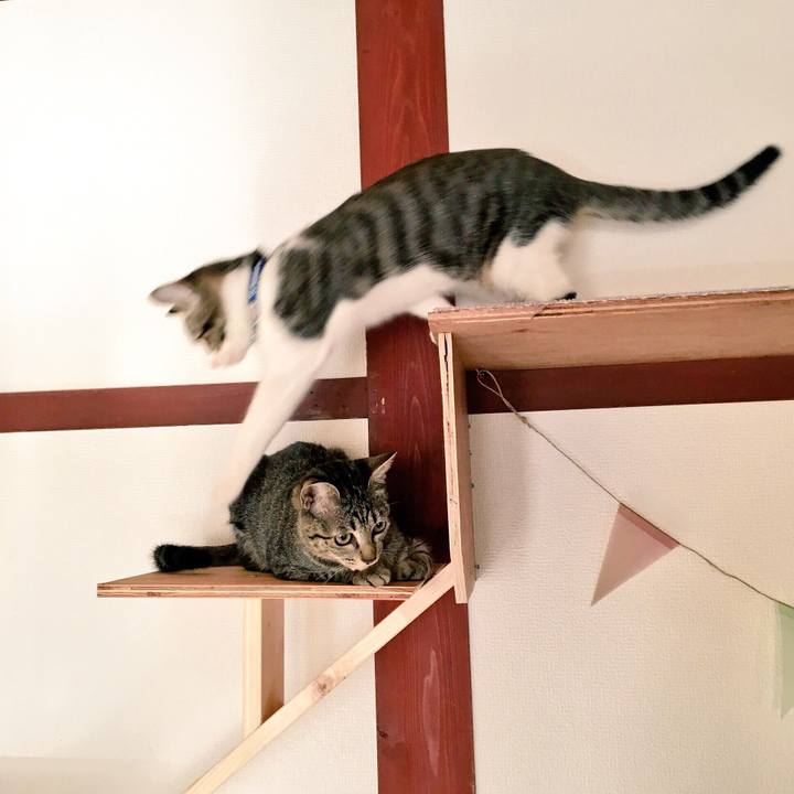 4b7930c7 7030 42bd acea 8e843df4a401