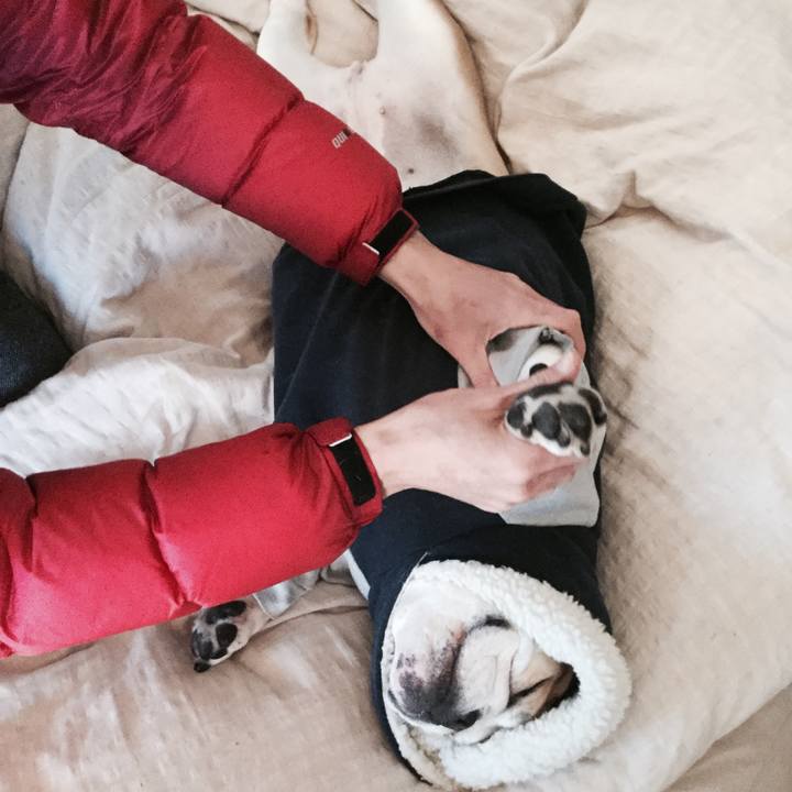 4b796311 822b 40b5 a152 80aa8b1be820