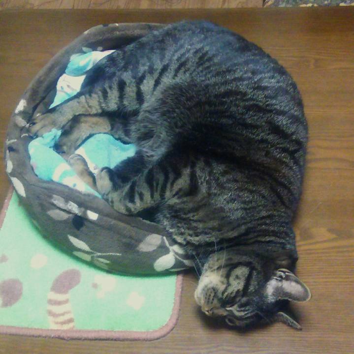 4b797391 56dd 4cc3 93bd c29bacb17547