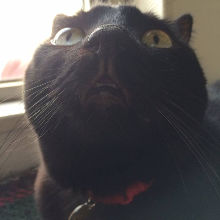 4b798fa4 8052 4aac 8e03 9fcbead86ad8