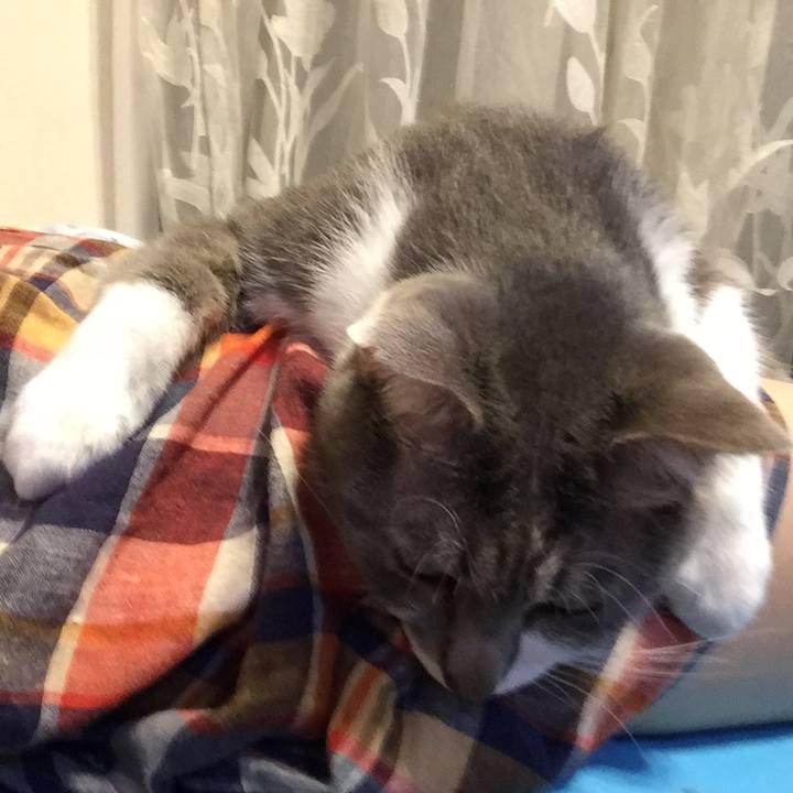 4b79971c b61f 4571 89ea 849c3044d7f7