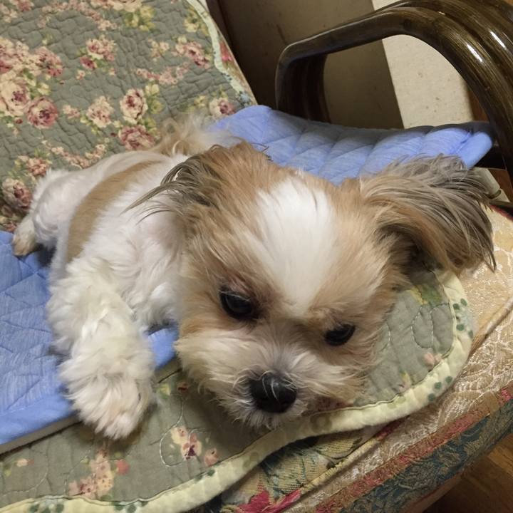 4b7a2b48 d4a7 4b5e 96ee b2bccaf30520