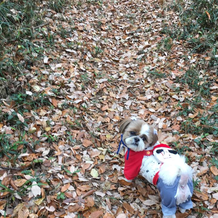 4b7a3d7c fb8b 4c44 b9b1 f3bc686aa4ef