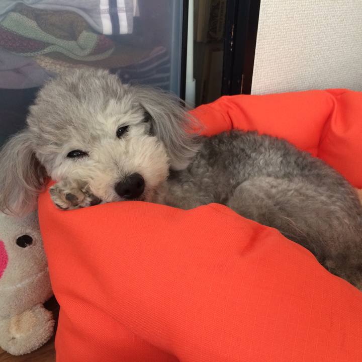 4b7a69dd 1907 4efa b704 54cee2ed804e