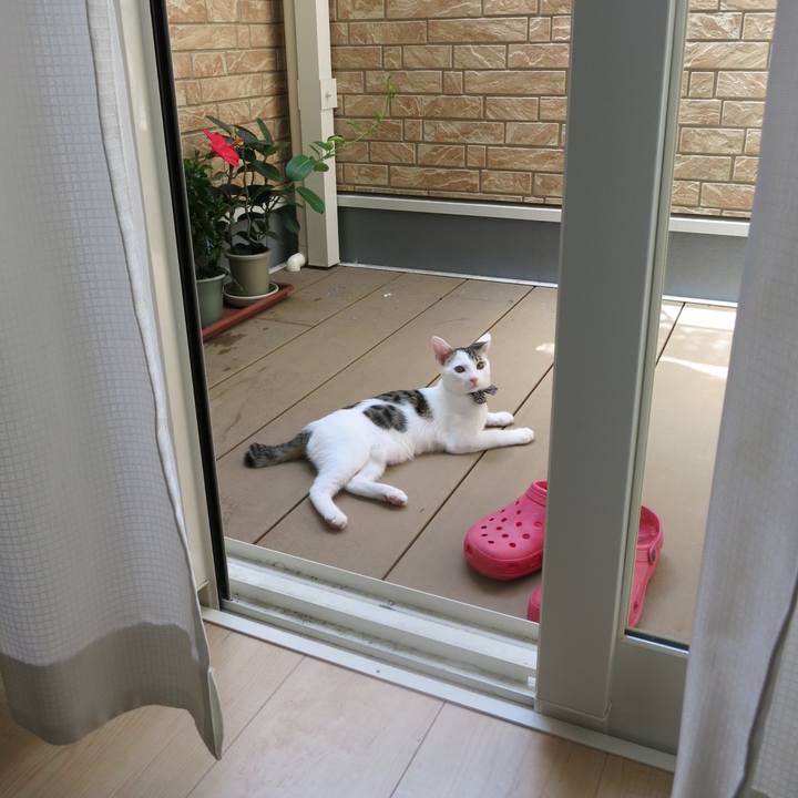 4b7a8f5a a55f 4e4e a377 d8ab88d68dfb