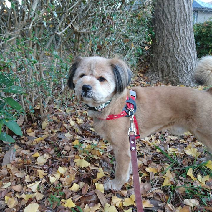 4b7aca37 8caf 42ed b6f8 6ac28538e119