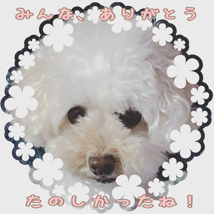 4b7bb5db 6e83 4ad4 b474 b1432b509f94