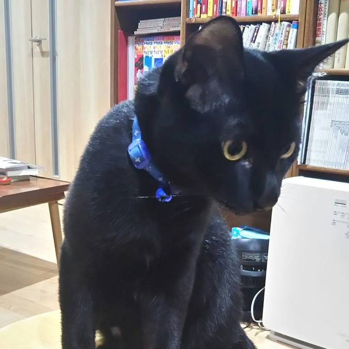 4b7cf2d5 aed2 4a43 8952 b6cc7c21d535