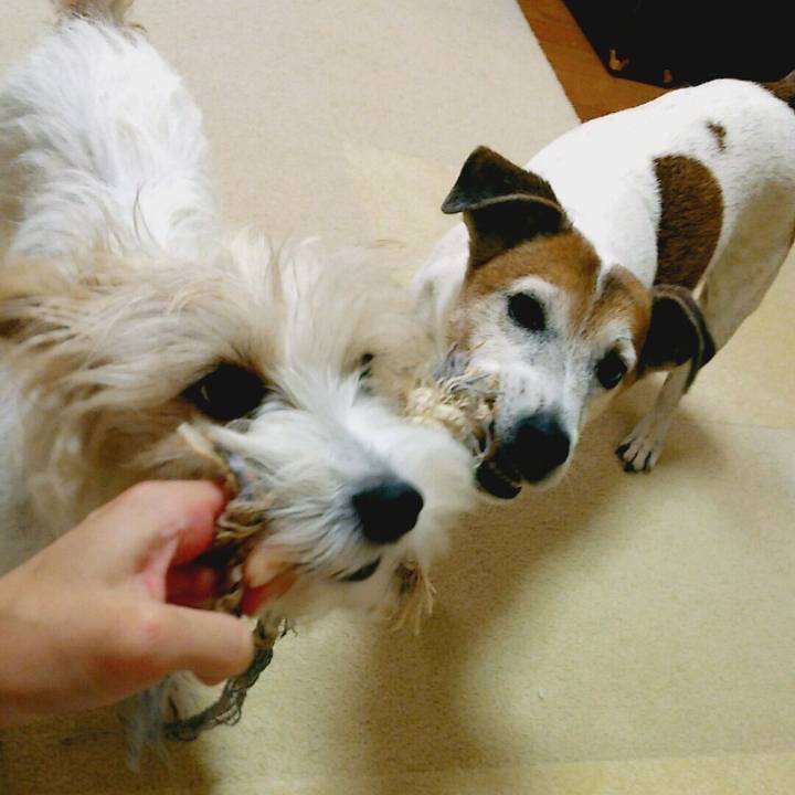 4b7cf811 8574 4685 8c82 bd7a6bd5a29f