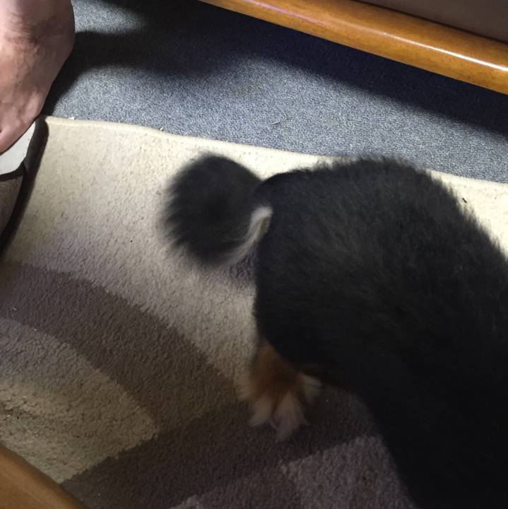 4b7cfb21 0843 47e8 880a e6db0ee6f33f