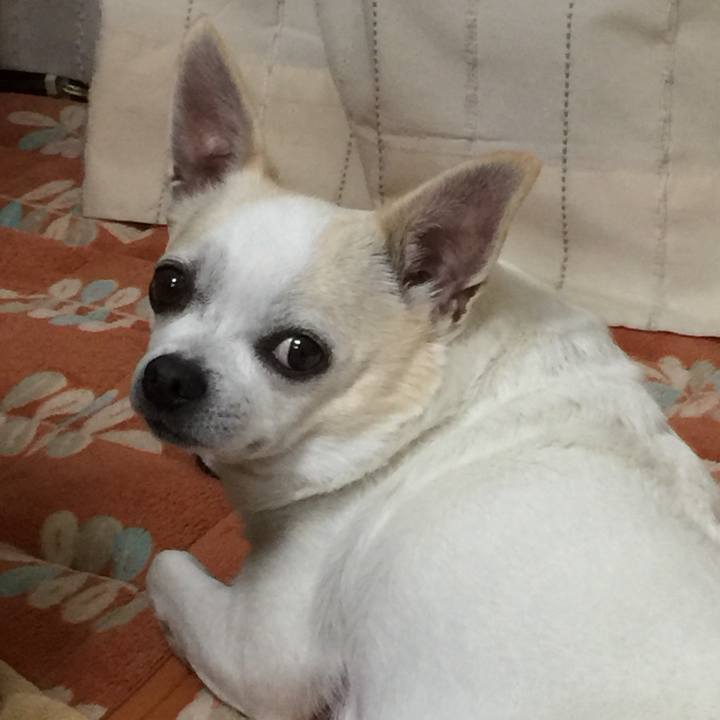 4b7d3098 e267 4967 a79d 3d31631bae8a