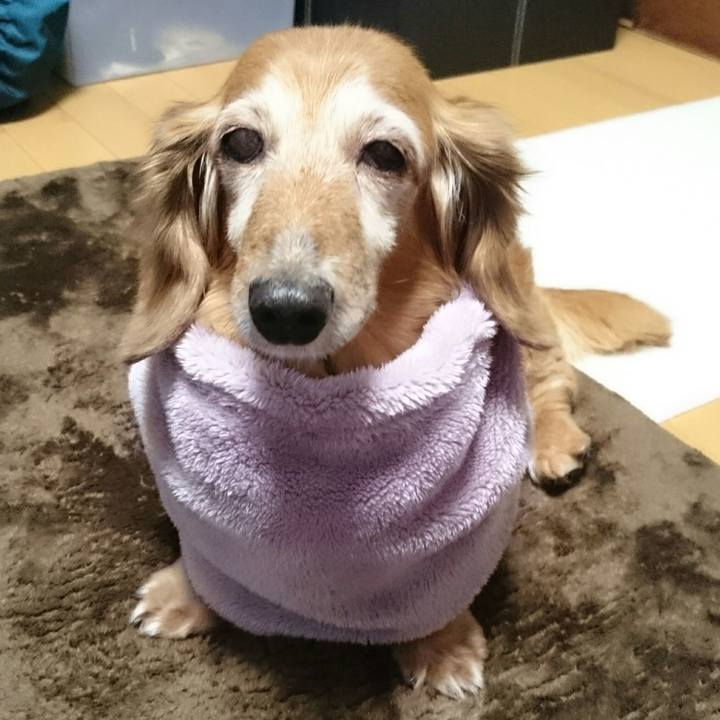 4b7d85f2 fef7 4558 a62e 418f77847d0a