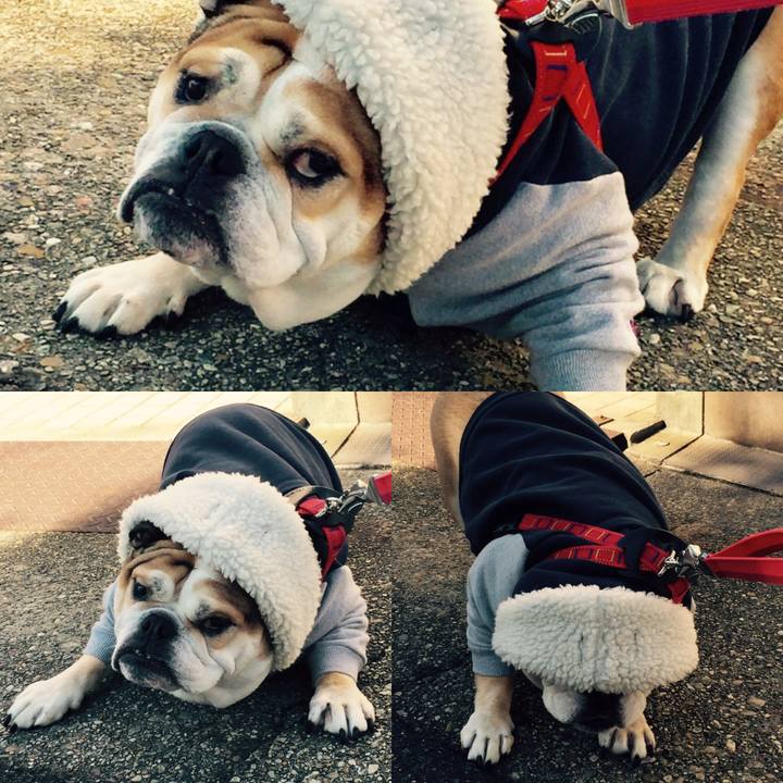 4b7db0d6 050f 4e50 9b73 bebf077c67a6