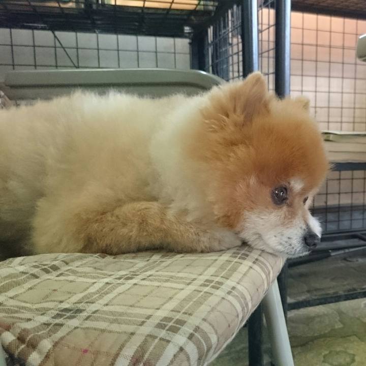 4b7e321b 42ad 471a ac41 b39e1a7cfb9a