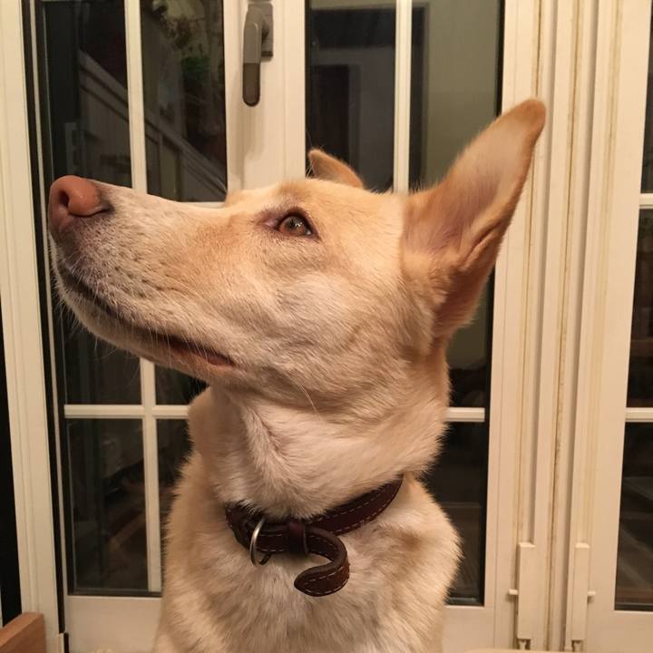 4b7e4635 6fee 47bb a57f 7ca22d070d49