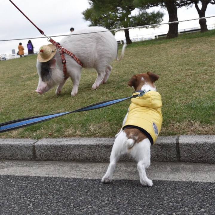 4b7e8869 26ca 4a95 b979 73b1db7b864b