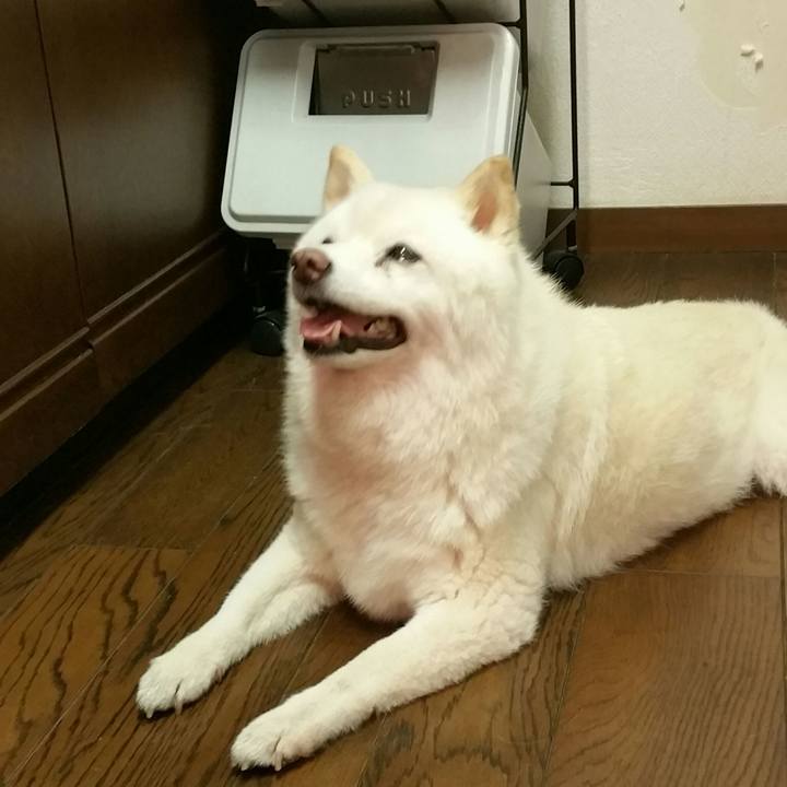 4b7f4602 e29f 43c5 b8e6 bb06552f0d0f