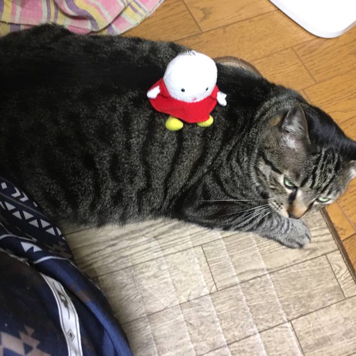 4b7fbdc0 ab8a 49da b8f4 b3c39982943b