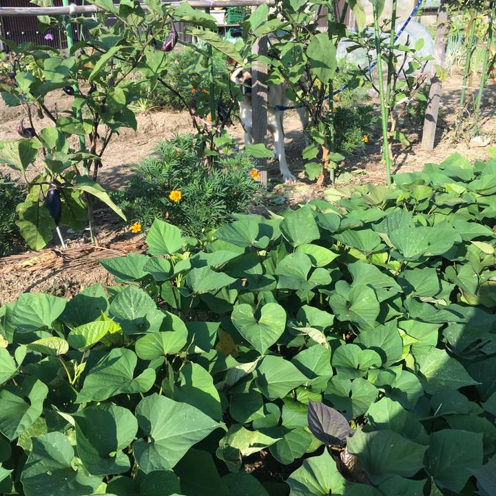 4b804fc8 a459 4067 a15b acc5a74dc3f9