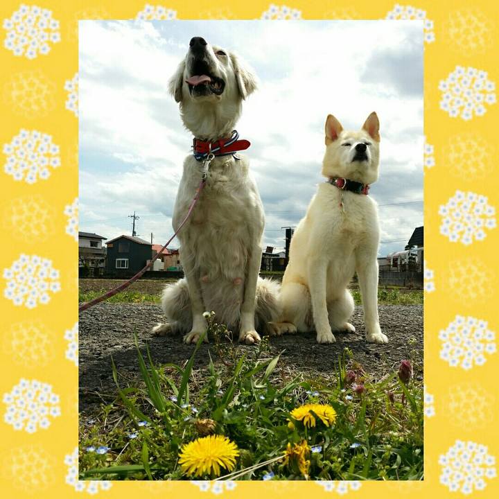 4b80744b 373d 4576 a82a ab946c4e903f