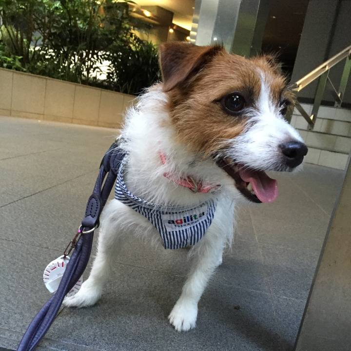 4b808d18 3d10 400e 80b9 79b718dd4667