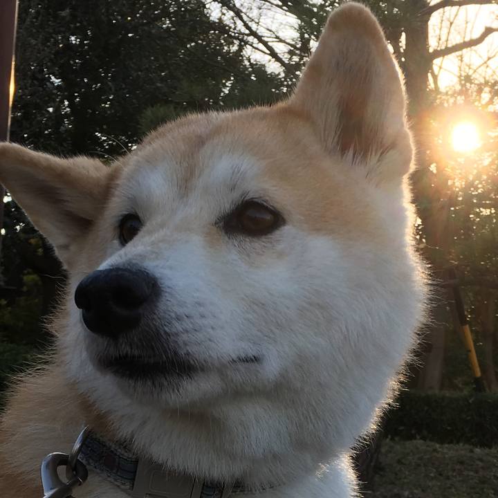 4b80d9d6 c102 4126 abc5 efc163d301eb