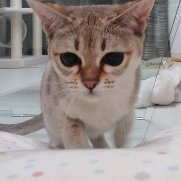 4b820cc7 b9f7 42be 93be 44258623d003